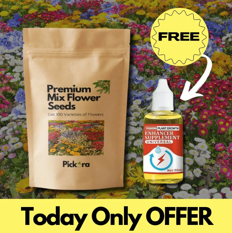 Varieties of Flower Seeds (Pack of 100) + Plant Growth Liquid Free