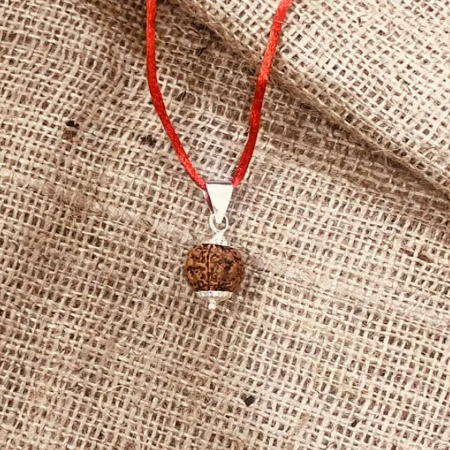Original 5 Mukhi (Nepali) Rudraksha